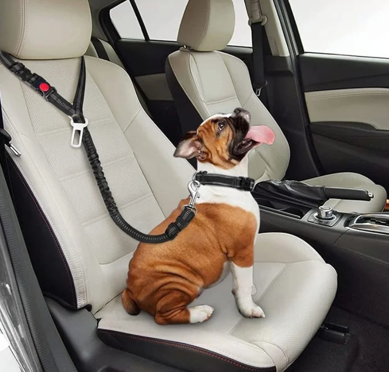 RideBuddy™ - 2-in-1 Car Safety Restraint Belt