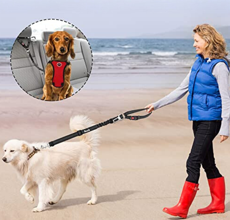 RideBuddy™ - 2-in-1 Car Safety Restraint Belt