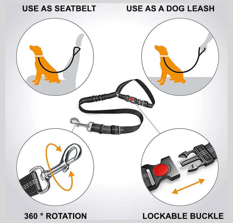RideBuddy™ - 2-in-1 Car Safety Restraint Belt