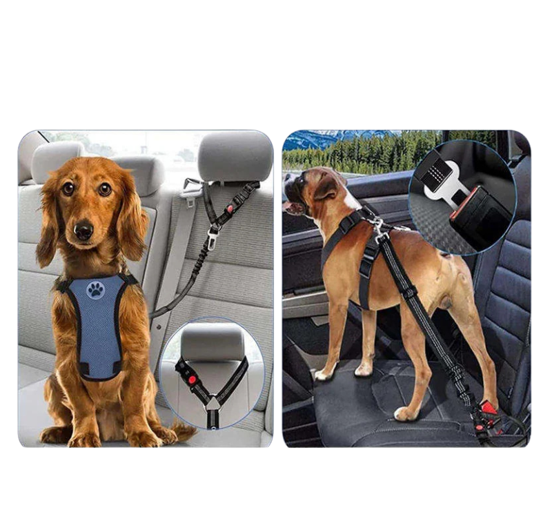 RideBuddy™ - 2-in-1 Car Safety Restraint Belt