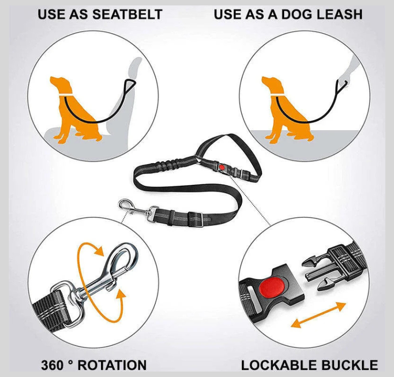 RideBuddy™ -  2-in-1 Car Safety Restraint Belt