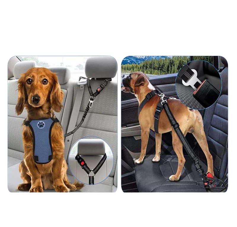 RideBuddy™ -  2-in-1 Car Safety Restraint Belt