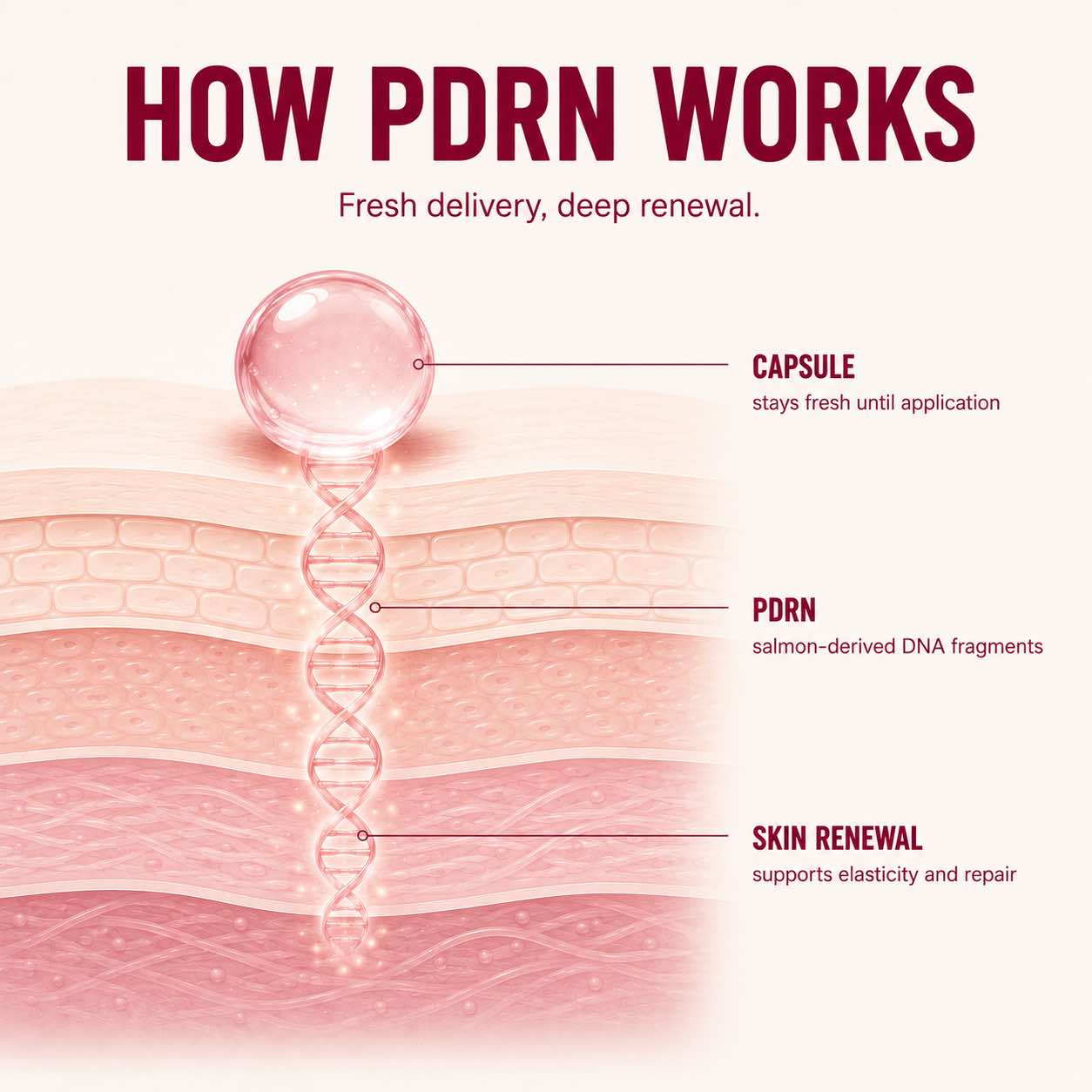 Koaluxe™ PDRN Collagen Capsule Cream